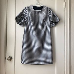 Banana Republic striped ruffle sleeve dress